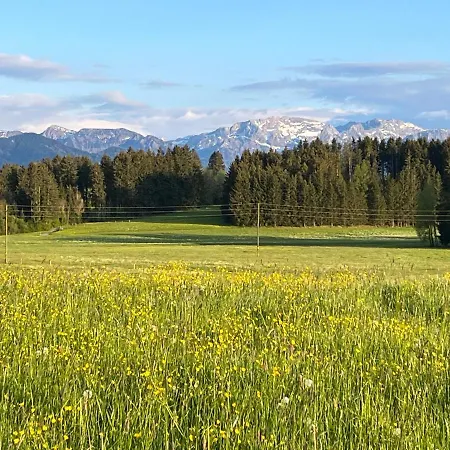 Allgaeu 