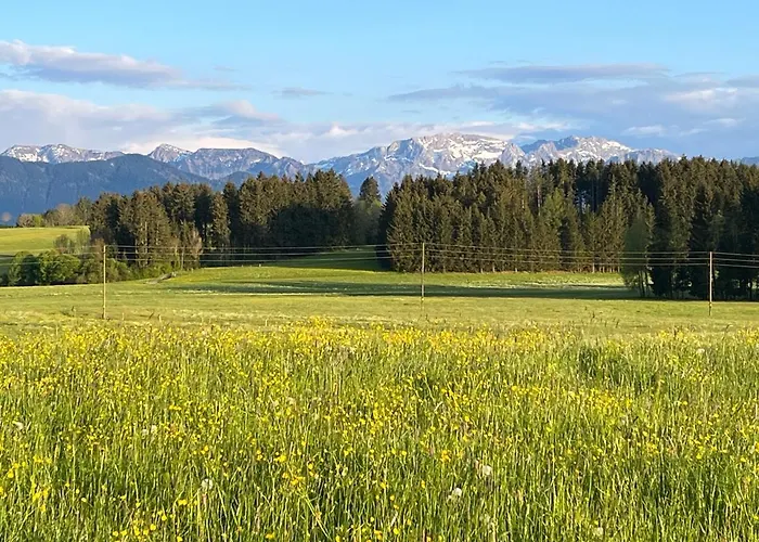 Allgaeu 
